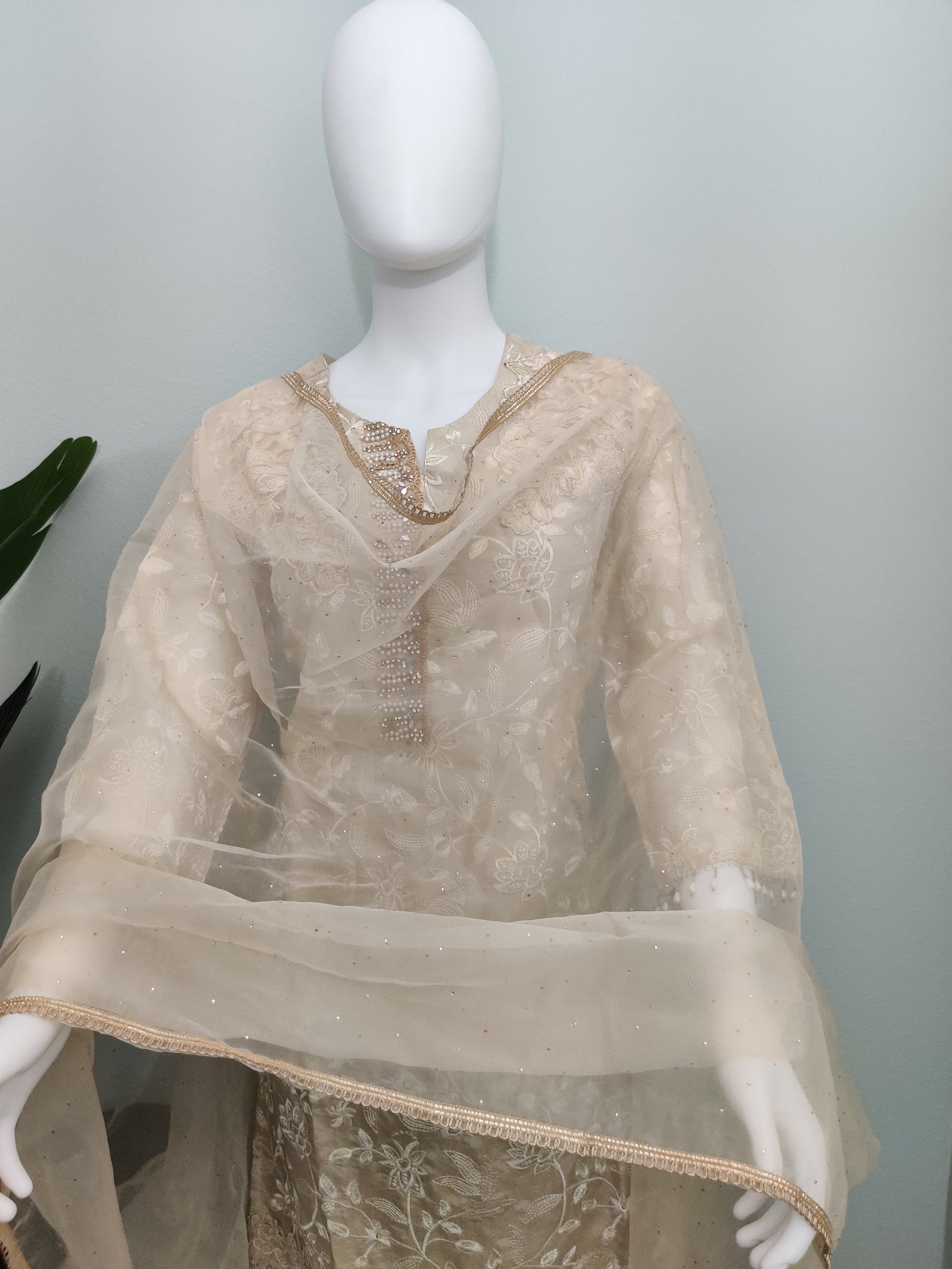 Fully Embroidered Organza beige color Party Wear Suit