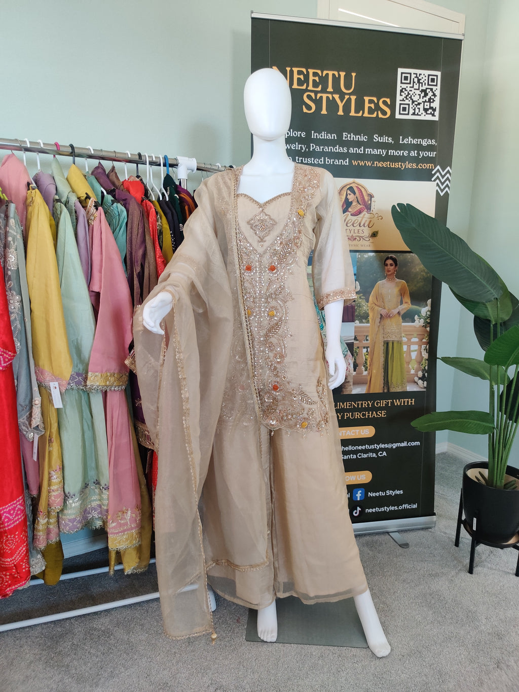 Elegant Beige Organza Embroidered Plazzo Suit