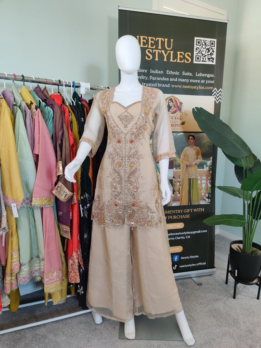 Elegant Beige Organza Embroidered Plazzo Suit